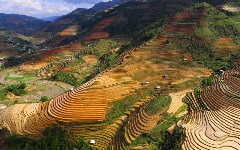 Ruộng bậc thang ở Chế Cu Nha, Mù Cang Chải